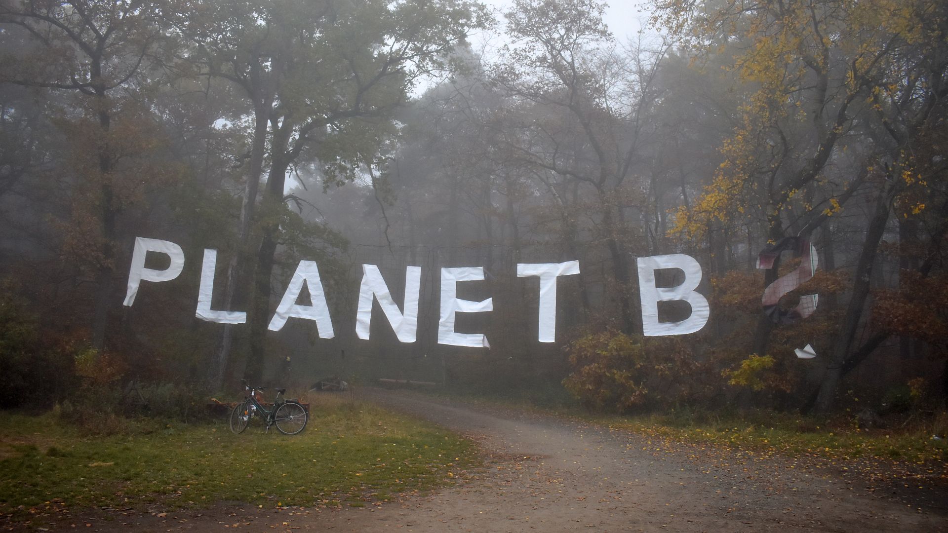 10.11.2020: Tag X im Danni (Dannenröder Wald)